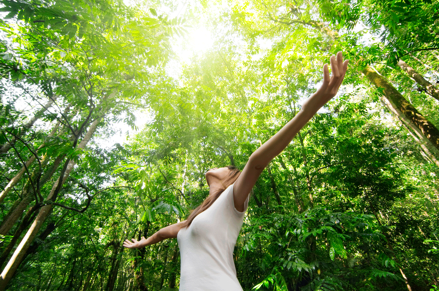 Scalar Energy Wellness Center | Rockwall, TX, USA